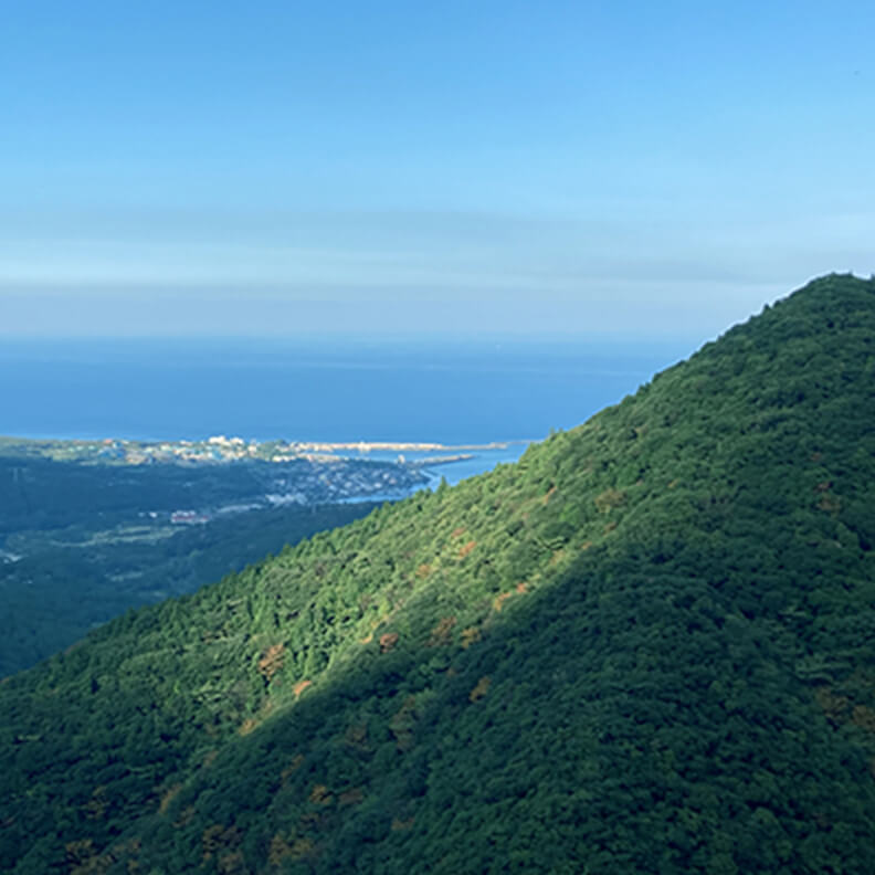 屋久島イメージ