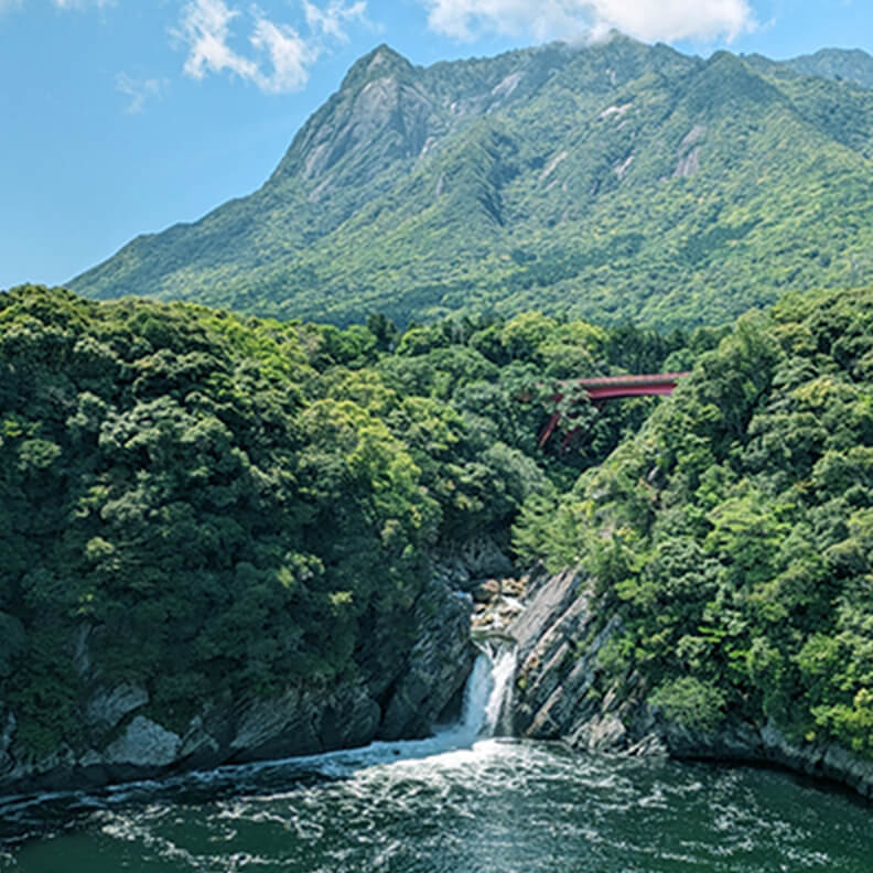 屋久島イメージ