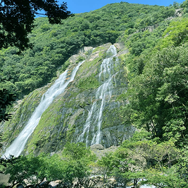 屋久島イメージ