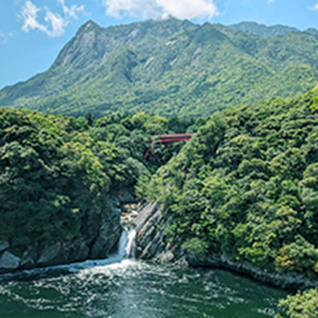 屋久島イメージ