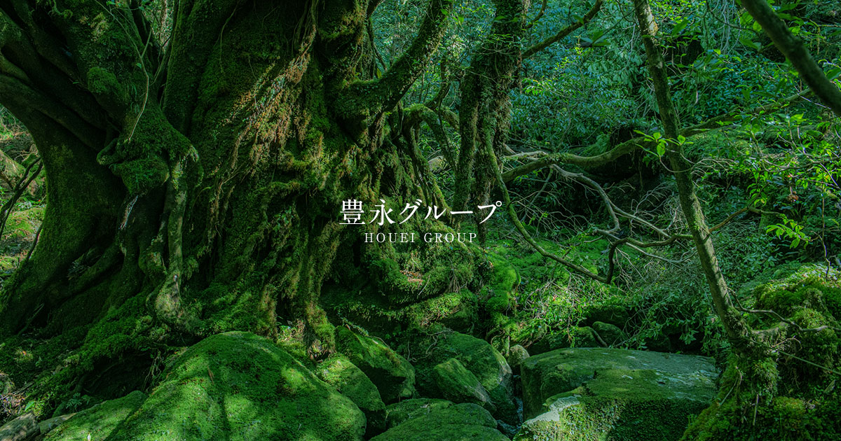 豊永グループの写真(鹿児島県屋久島町)